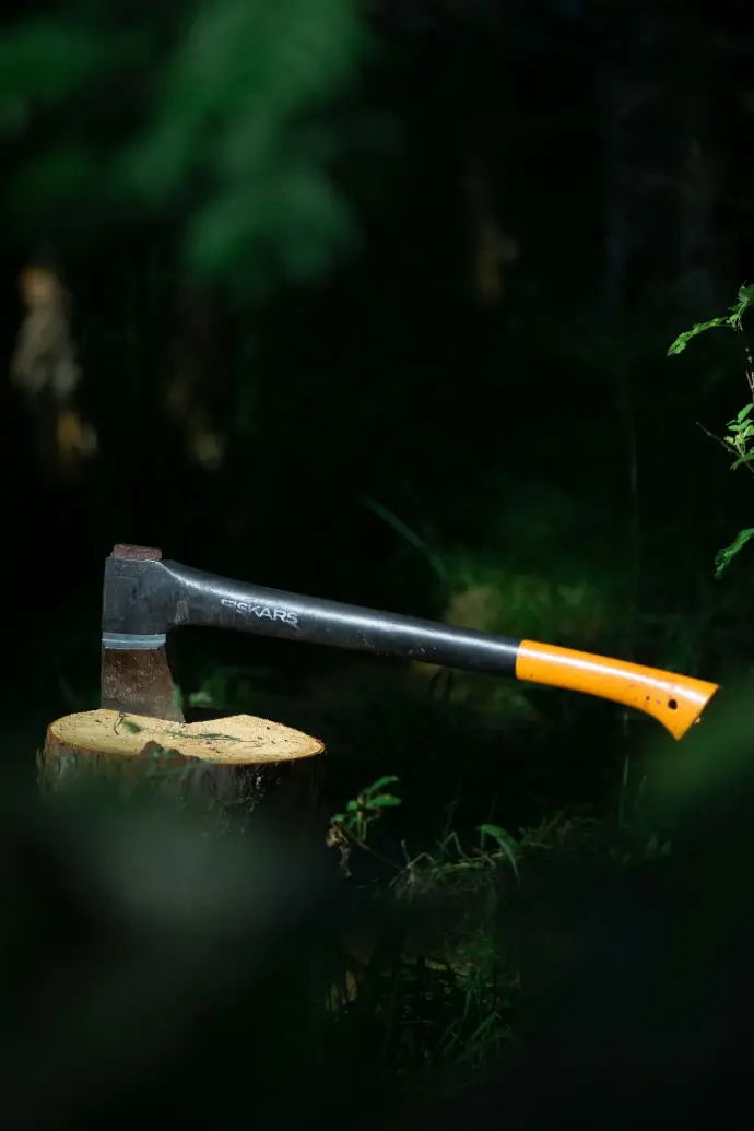 an axe stuck in a stump in the woods